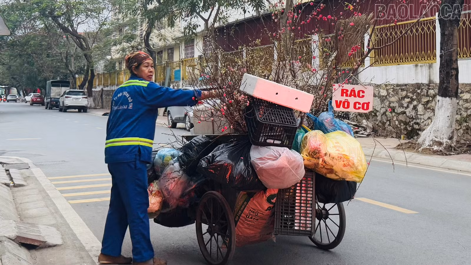 baolaocai-tr_rac-tet.jpg