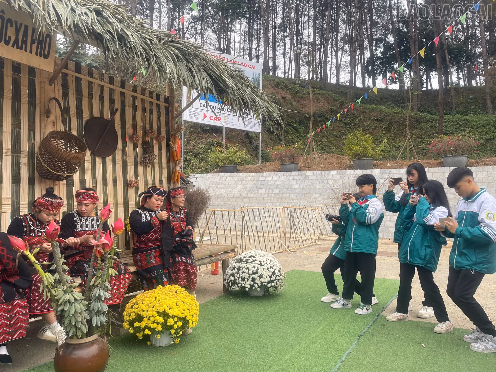 baolaocai-tr_1000000197.jpg