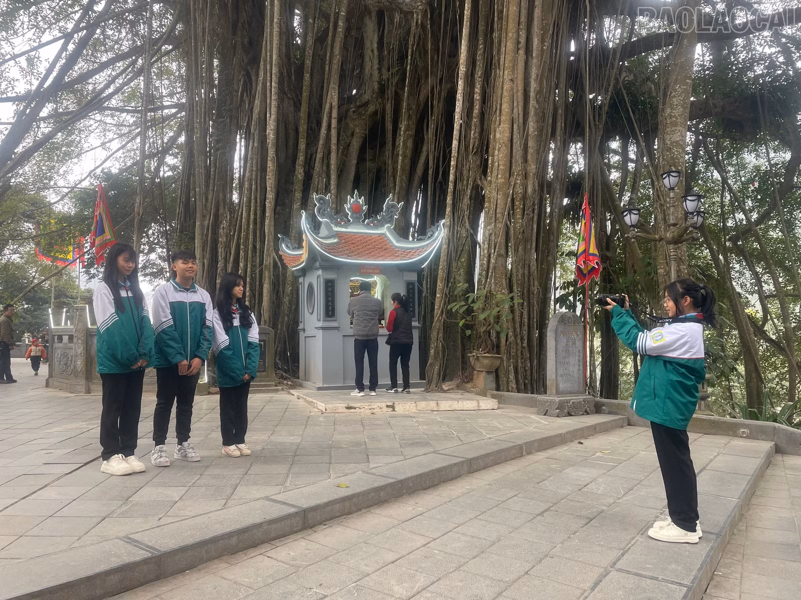 baolaocai-tr_1000000198.jpg