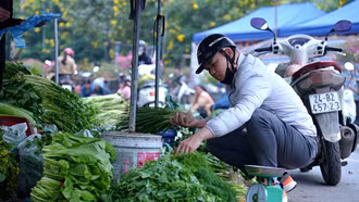 Thị trường thực phẩm, rau xanh ngày Tết 