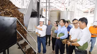 Kiểm tra tiến độ các dự án chế biến nông sản, định hướng phát triển chuỗi giá trị
