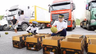 Dòng nông sản thông suốt qua cửa khẩu Lào Cai