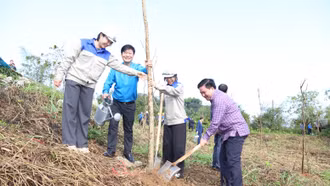 Trồng gần 500 cây xanh tại Khu Công nghiệp Tằng Loỏng 