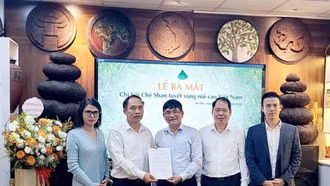 Ra mắt Chi hội Chè Shan tuyết vùng núi cao Việt Nam