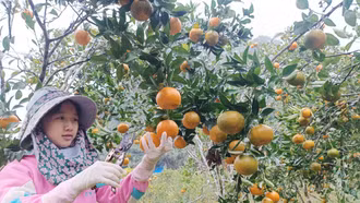 Đổi thay ở xã biên giới Pha Long