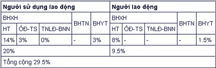 6 chính sách mới về BHXH, tuổi nghỉ hưu năm 2022 ảnh 5