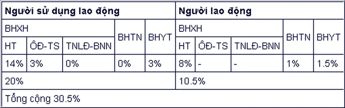 6 chính sách mới về BHXH, tuổi nghỉ hưu năm 2022 ảnh 1
