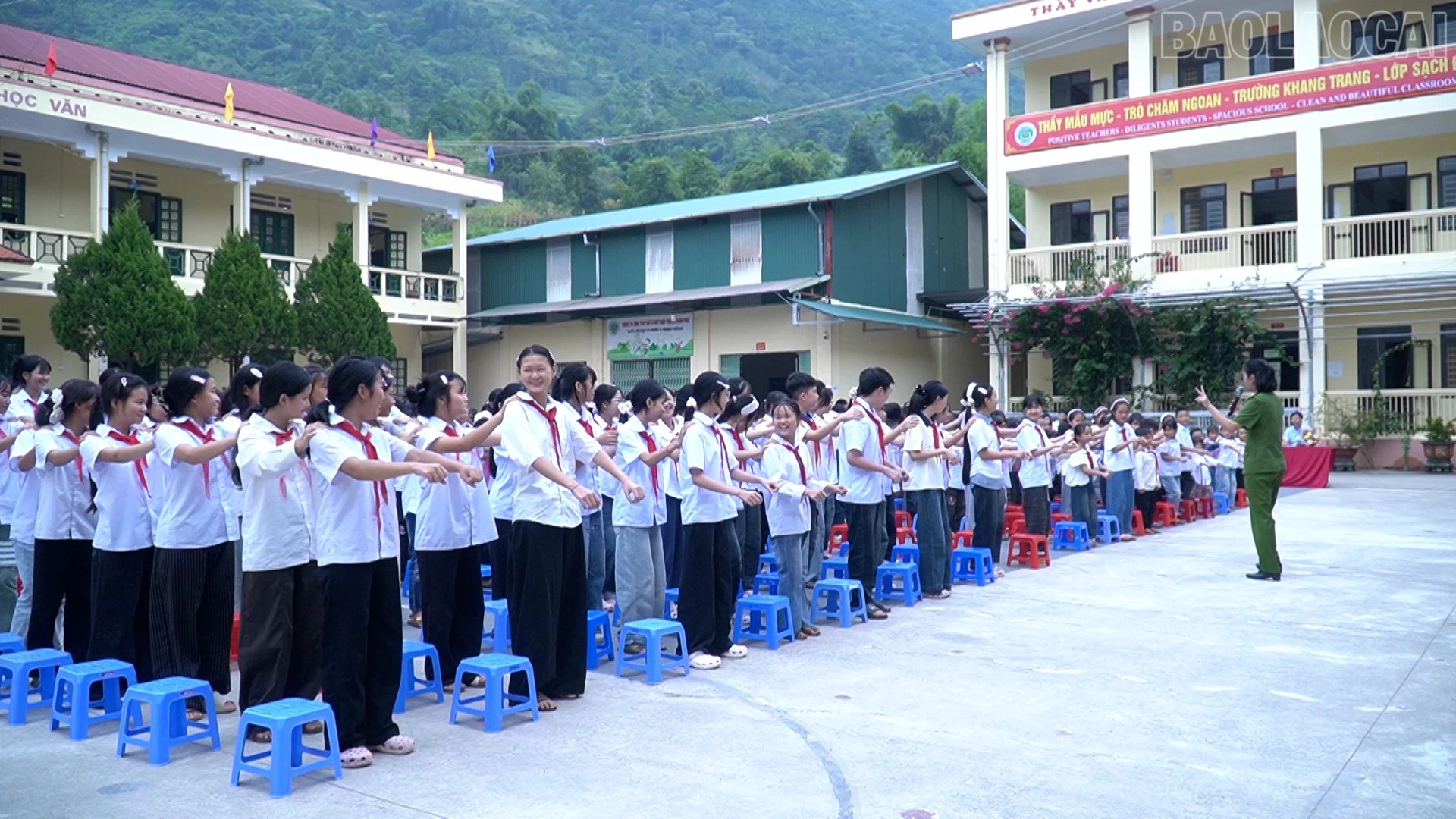 baolaocai-tr_555.jpg