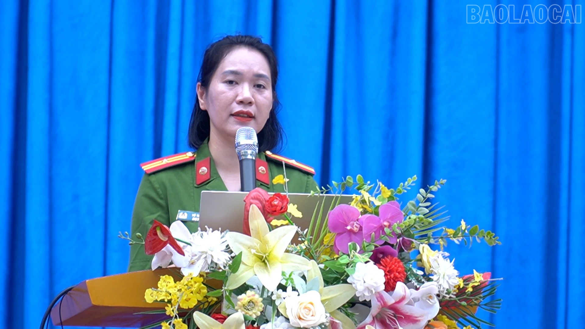 baolaocai-tr_33333.jpg