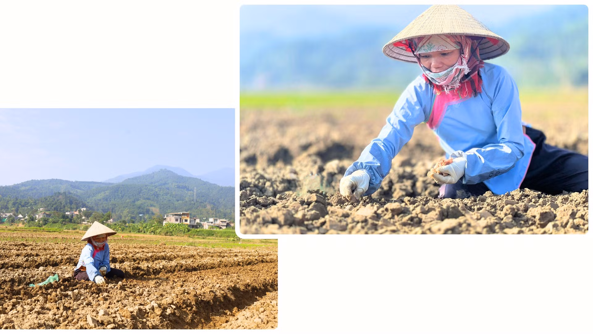 Người dân Bát Xát nỗ lực khôi phục sản xuất.