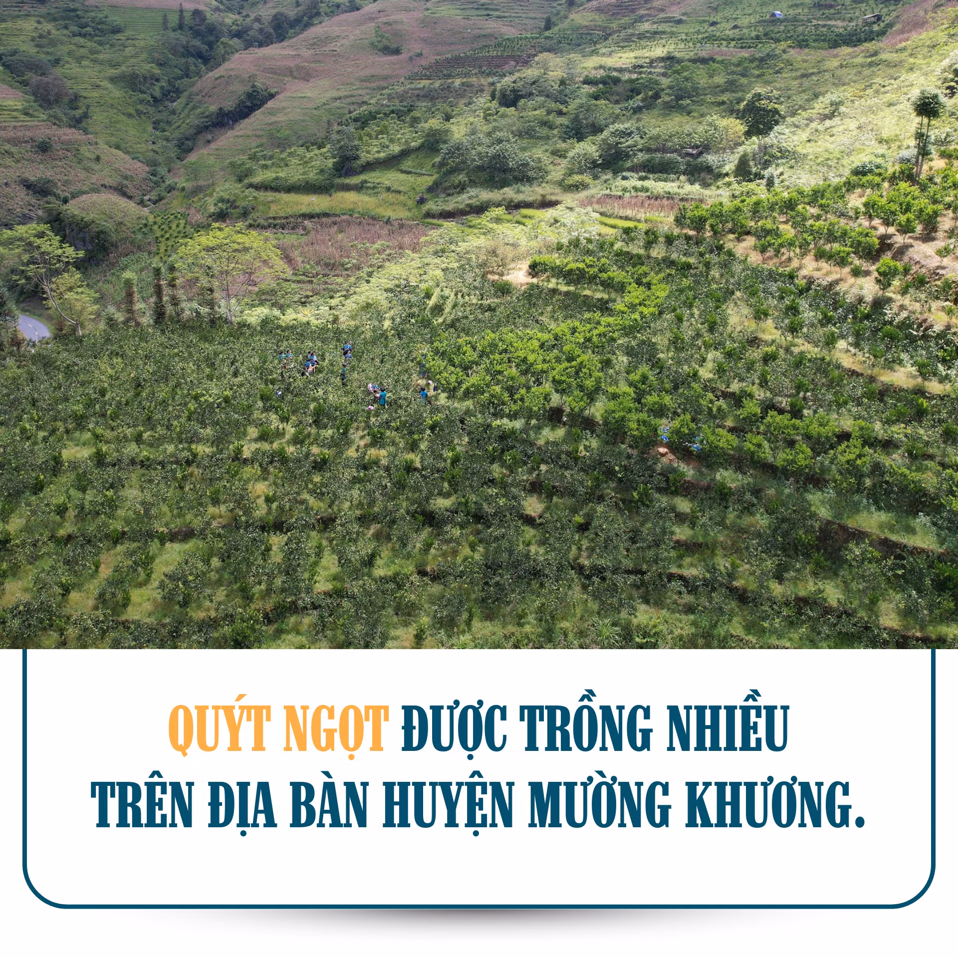 muong-khuong-722.png