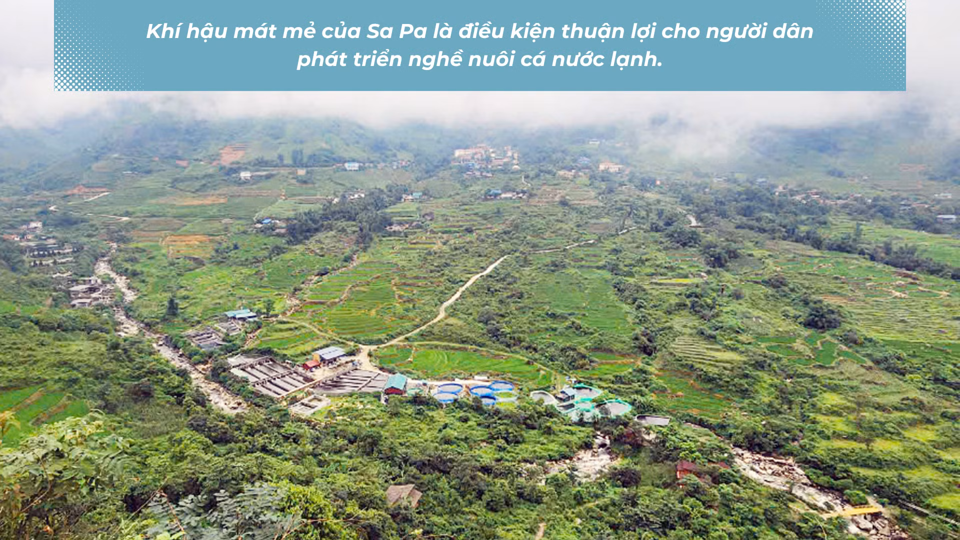 phat-trien-nong-nghe-nuoi-ca-nuoc-lanh-va-nhung-he-luy-1475.png