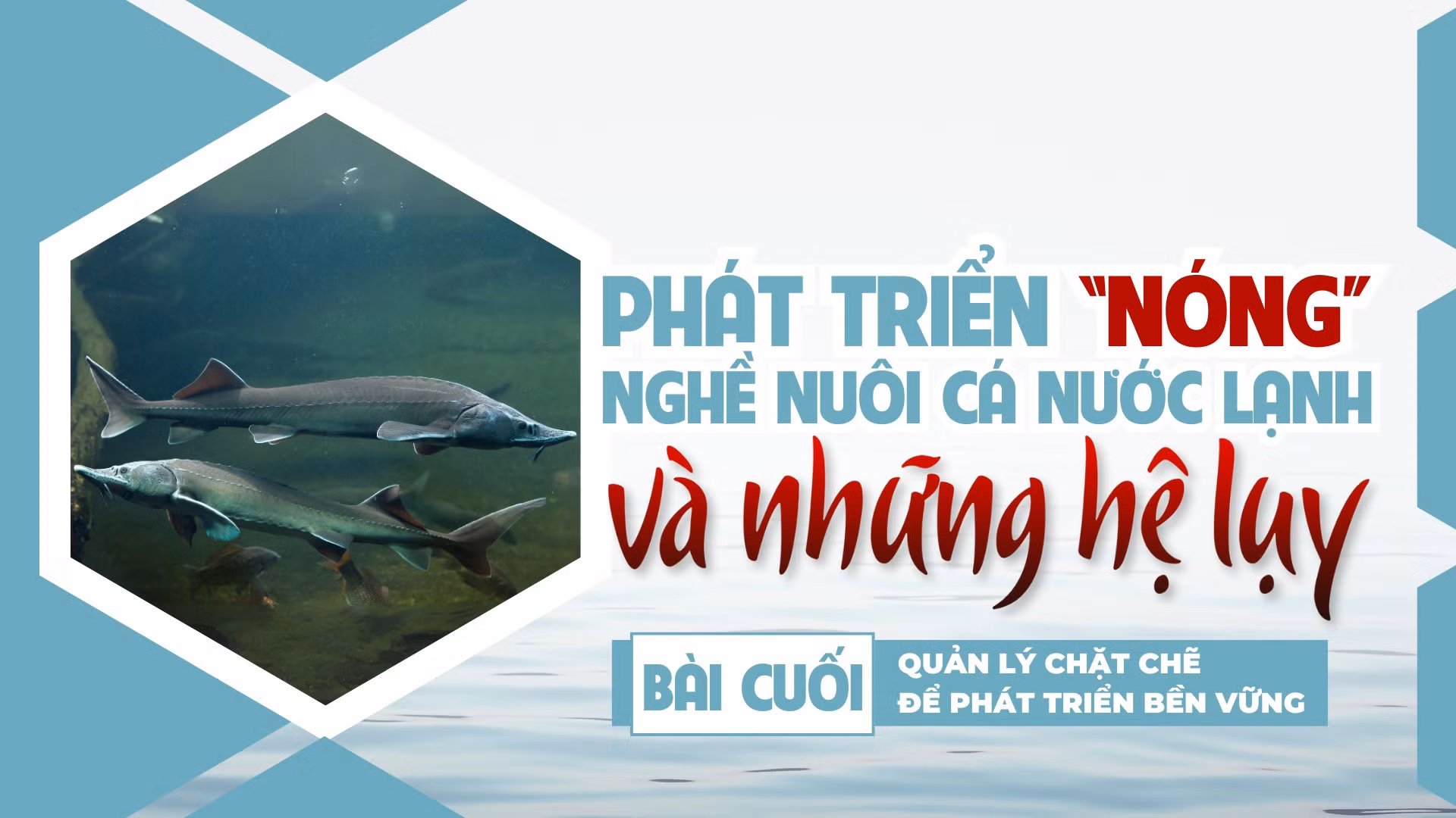 Bài cuối: Quản lý chặt chẽ để phát triển bền vững
