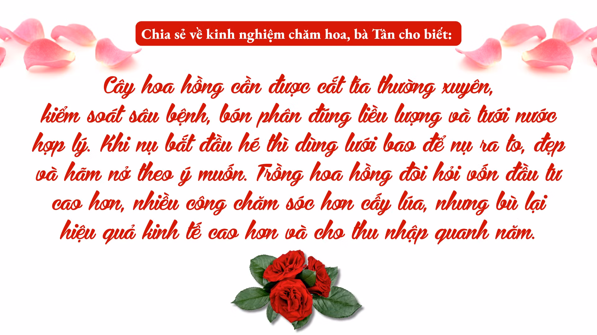 nang-dong-chuyen-doi-cay-trong-3.png