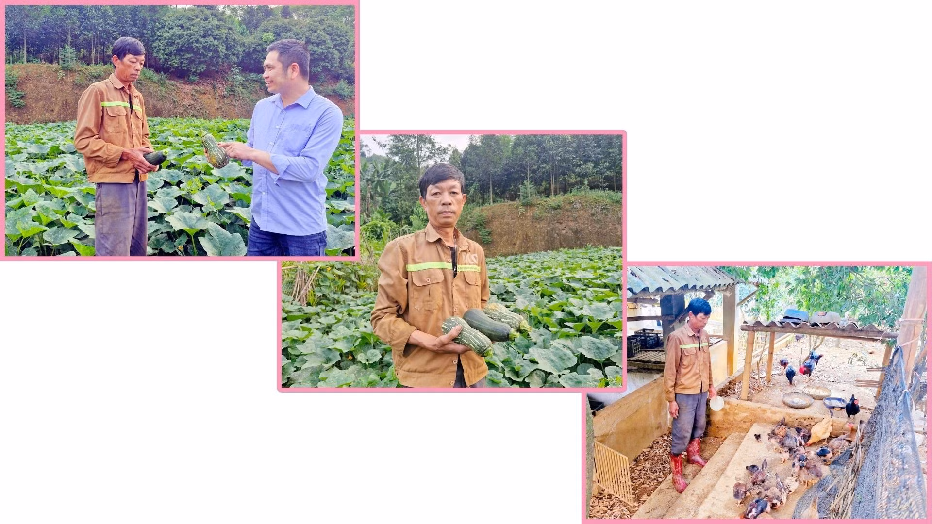 Ông Đoàn Văn Hưởng (thôn Văn Thủy, xã Võ Lao, huyện Văn Bàn) là điển hình sản xuất kinh doanh giỏi nhiều lần được ghi danh học Bác.
