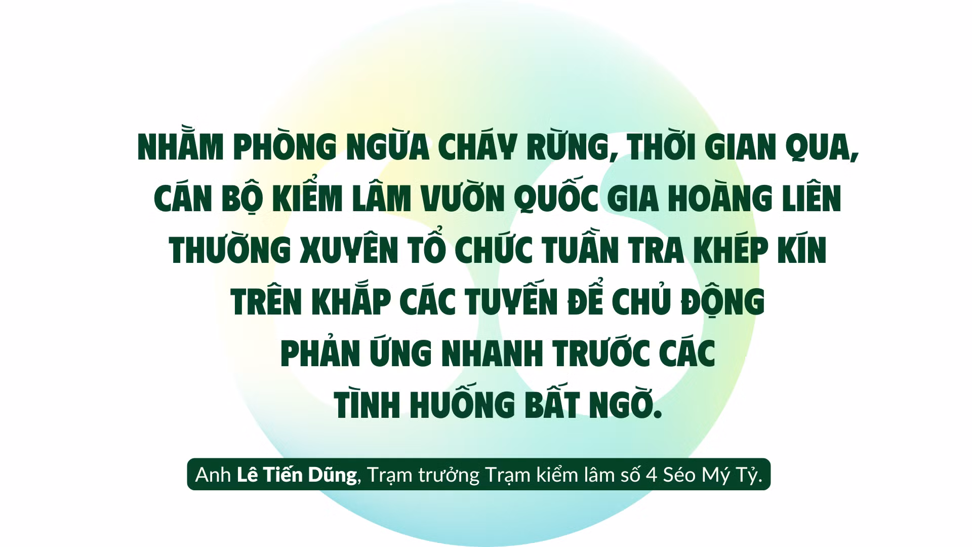 con-choi-nay-cay-5.png
