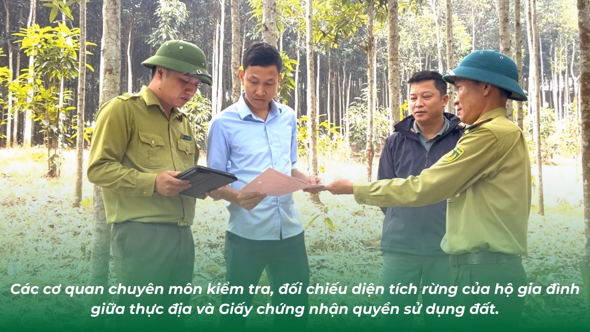 go-kho-chi-tra-dich-vu-moi-truong-rung-doi-voi-ho-gia-dinh-1.png