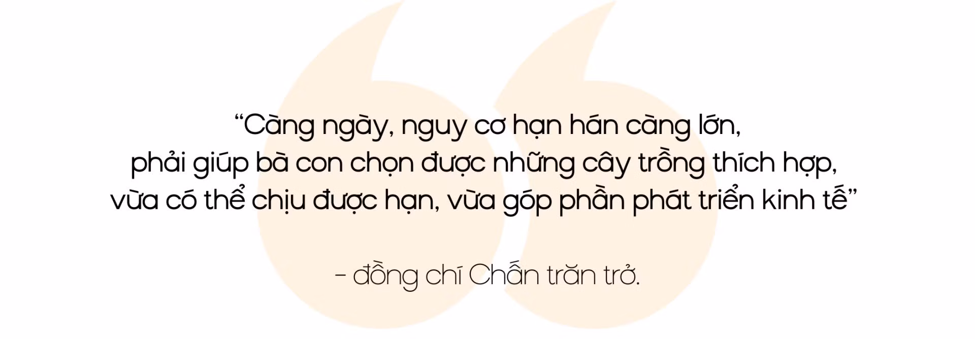 8-960.jpg