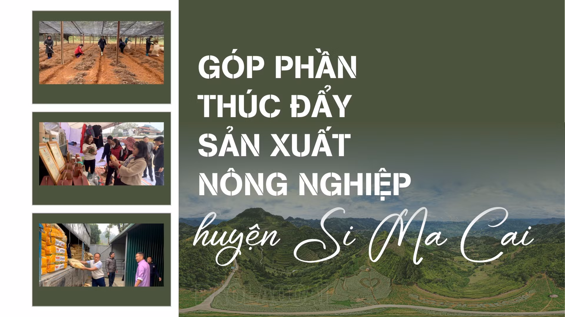 Góp phần thúc đẩy sản xuất nông nghiệp huyện Si Ma Cai