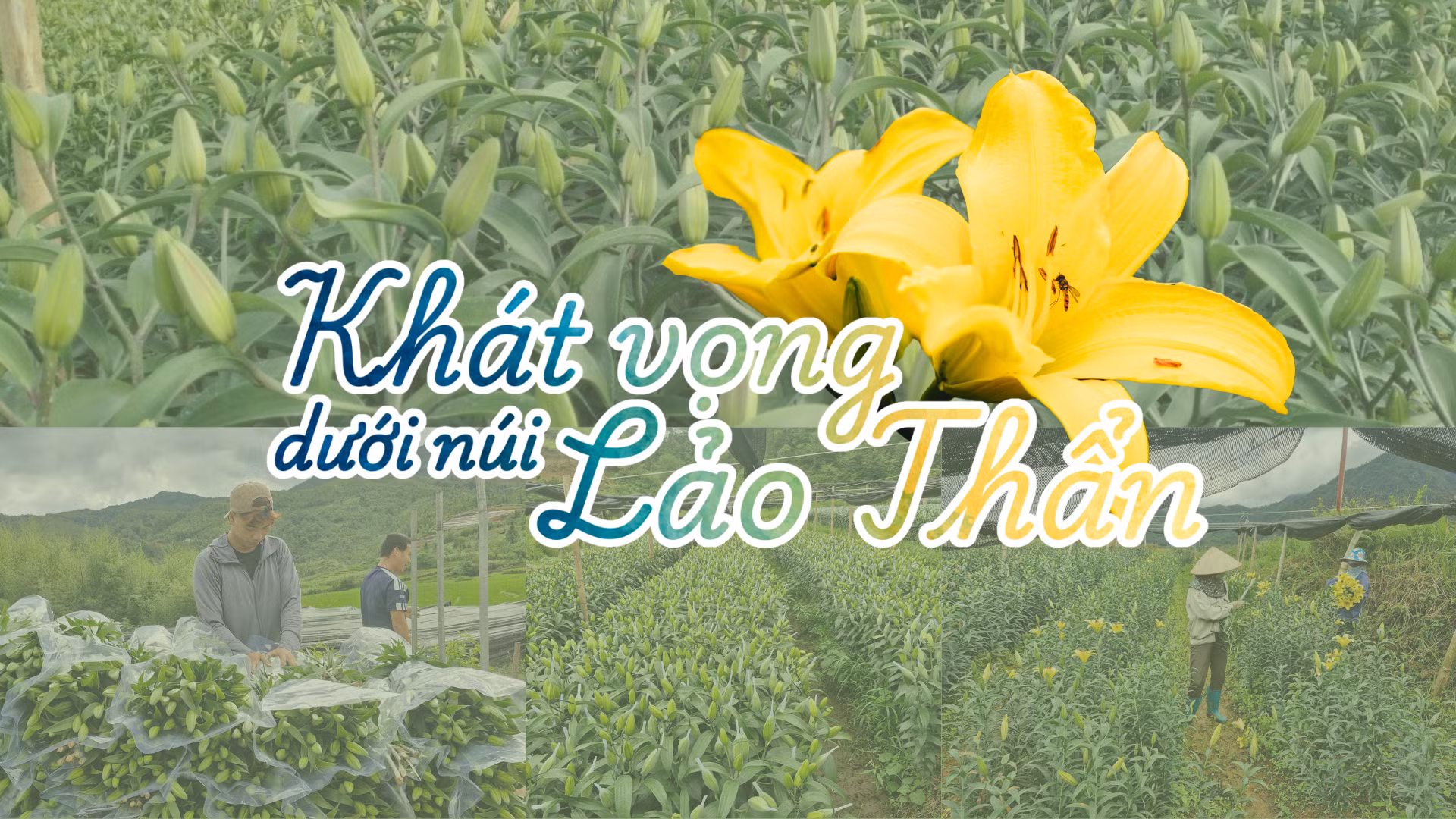 Khát vọng dưới núi Lảo Thẩn