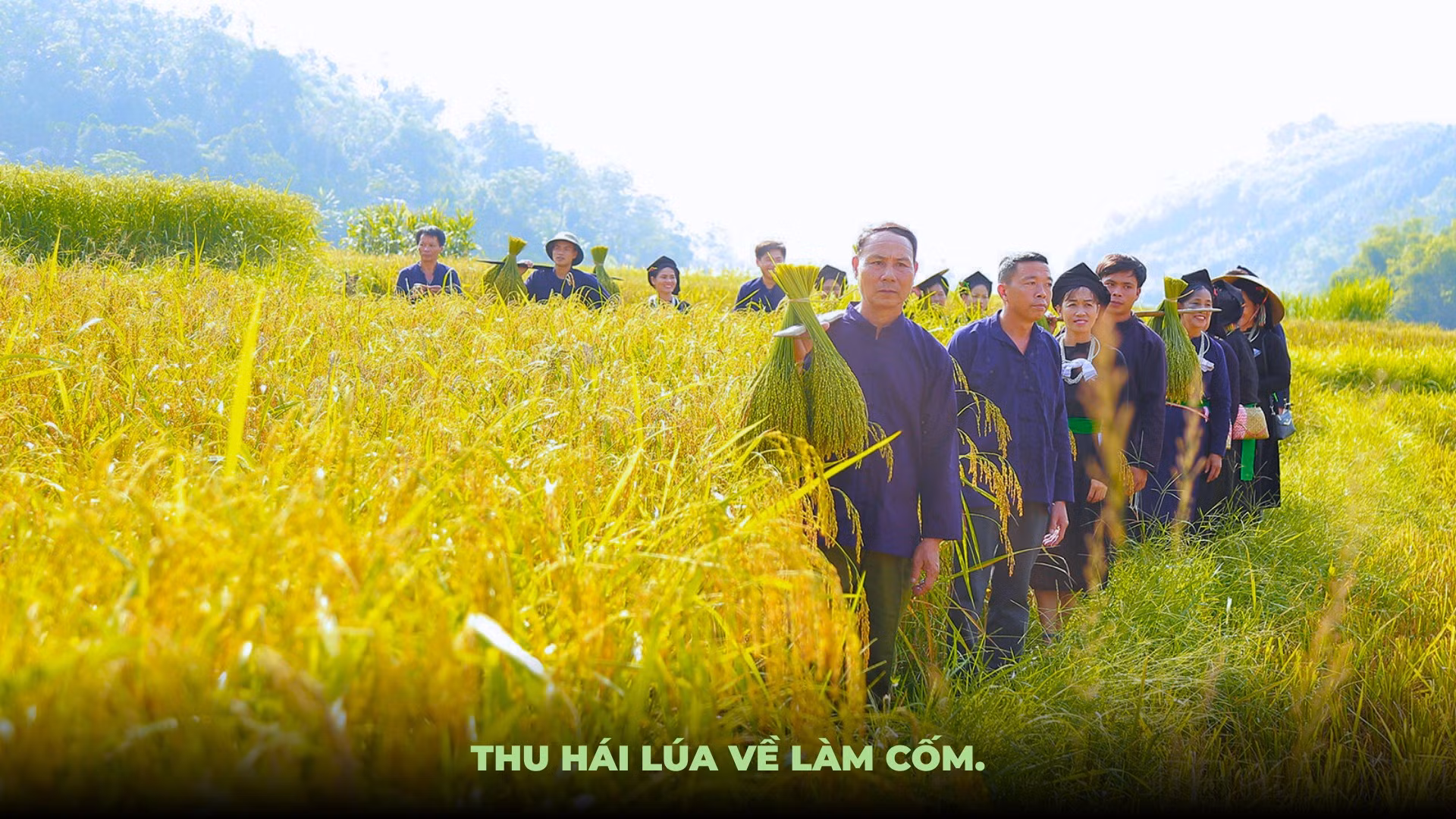 Ảnh: Mạnh Dũng.