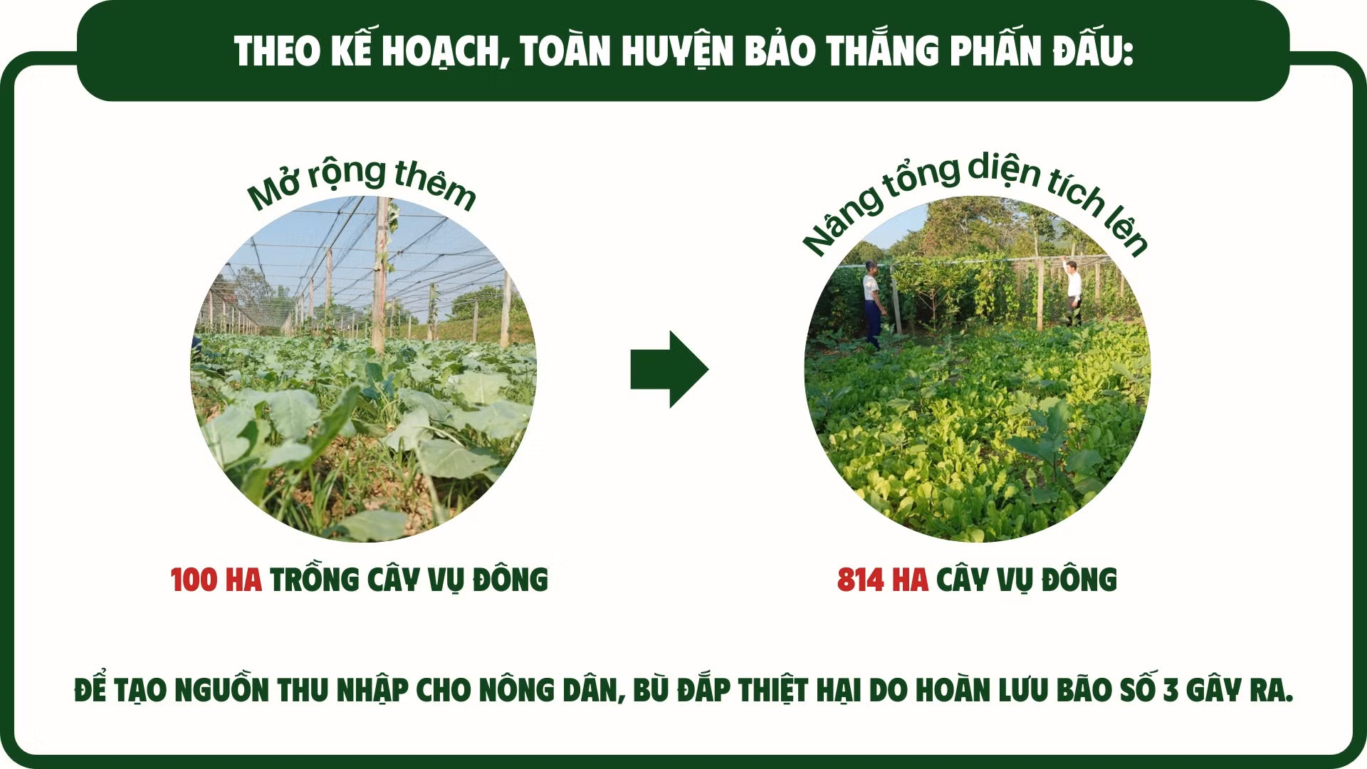 tai-thiet-xanh-sau-thien-tai-1-5707.png