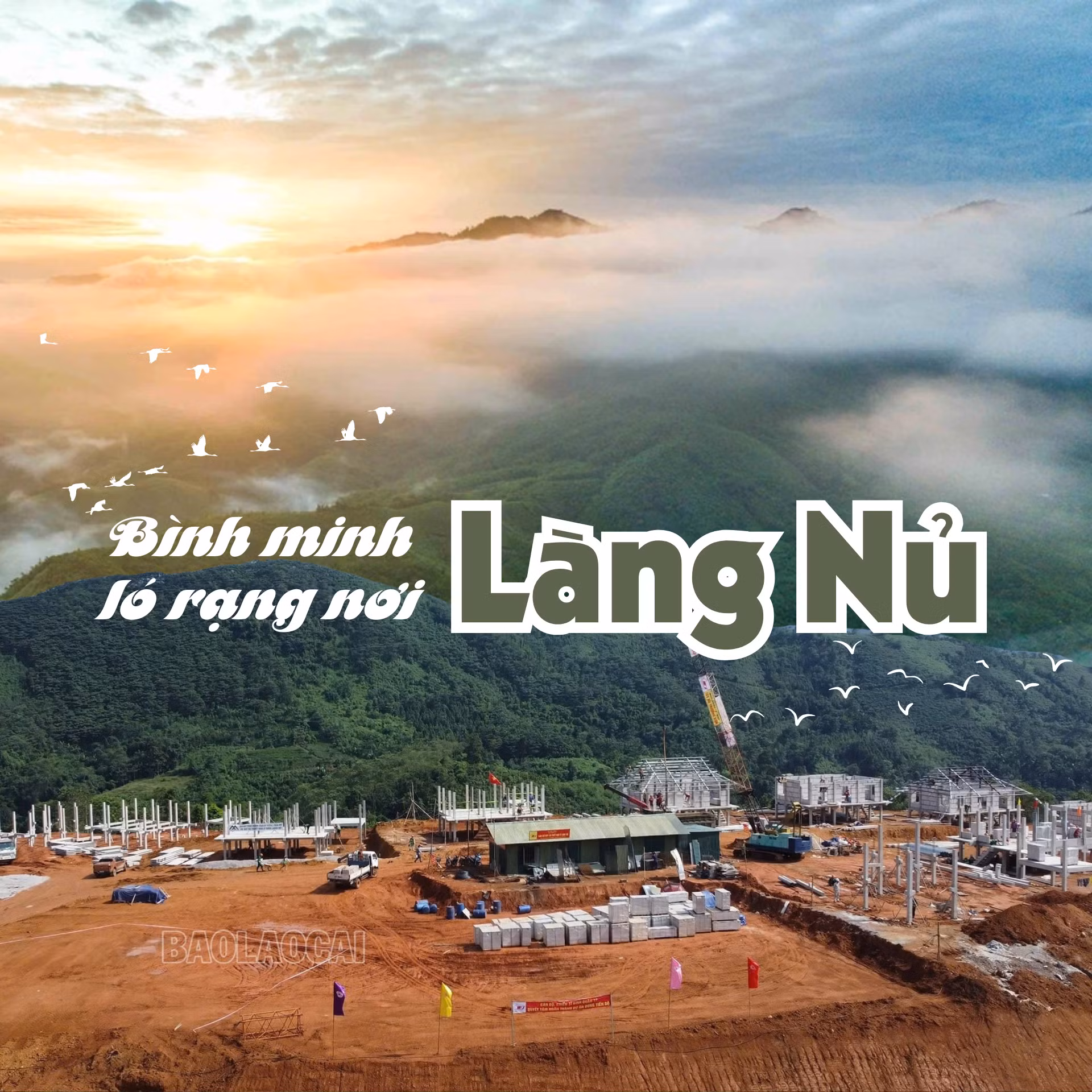 diem-tua-trong-bao-giong-35.png