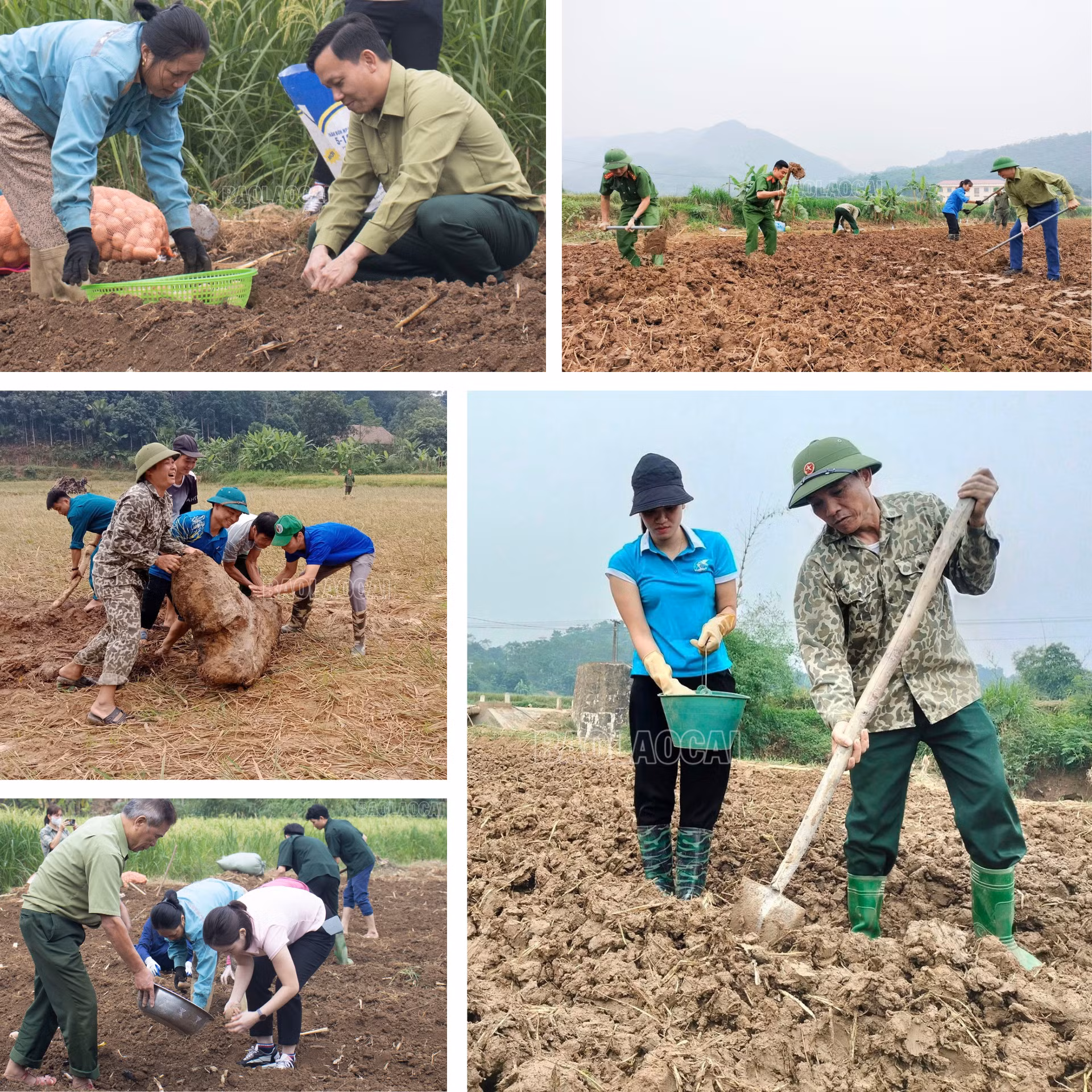 diem-tua-trong-bao-giong-20.png