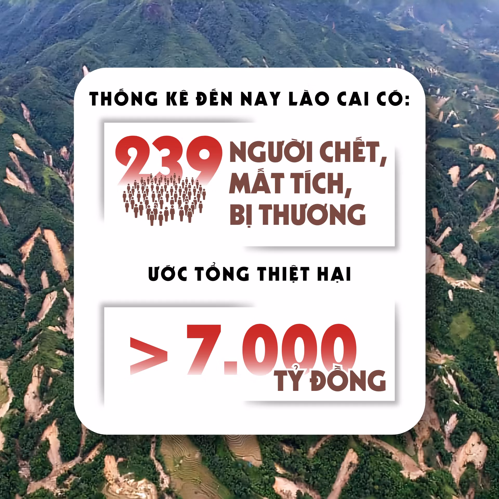 diem-tua-trong-bao-giong-6.png