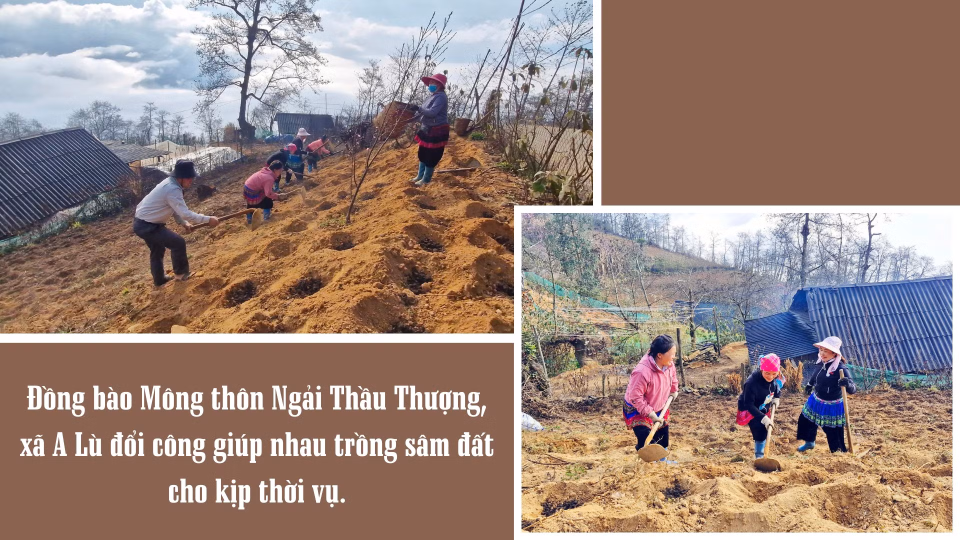 mua-trong-sam-dat-tren-mui-da-ma-cha-va-3.png