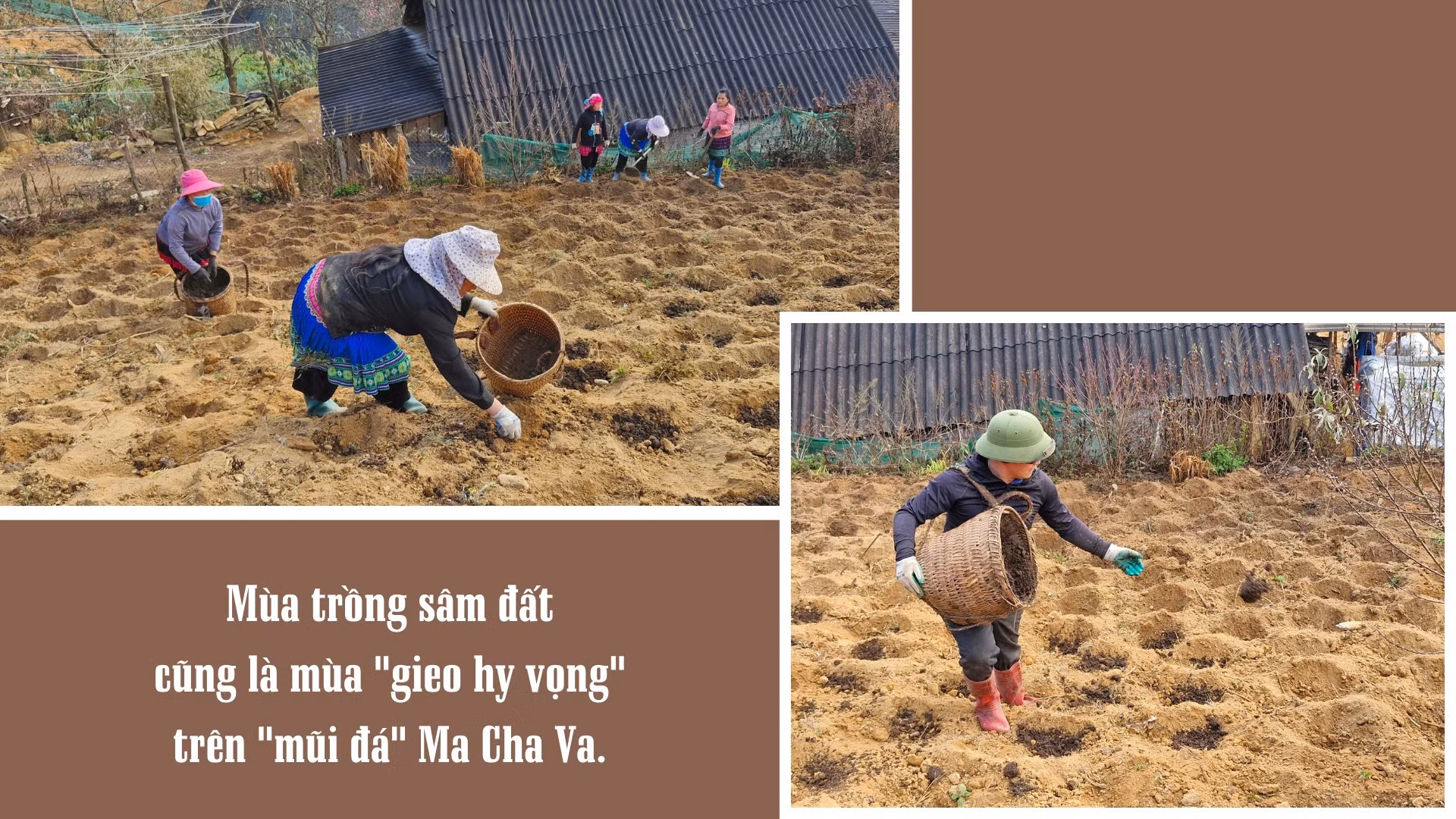 mua-trong-sam-dat-tren-mui-da-ma-cha-va-6.png