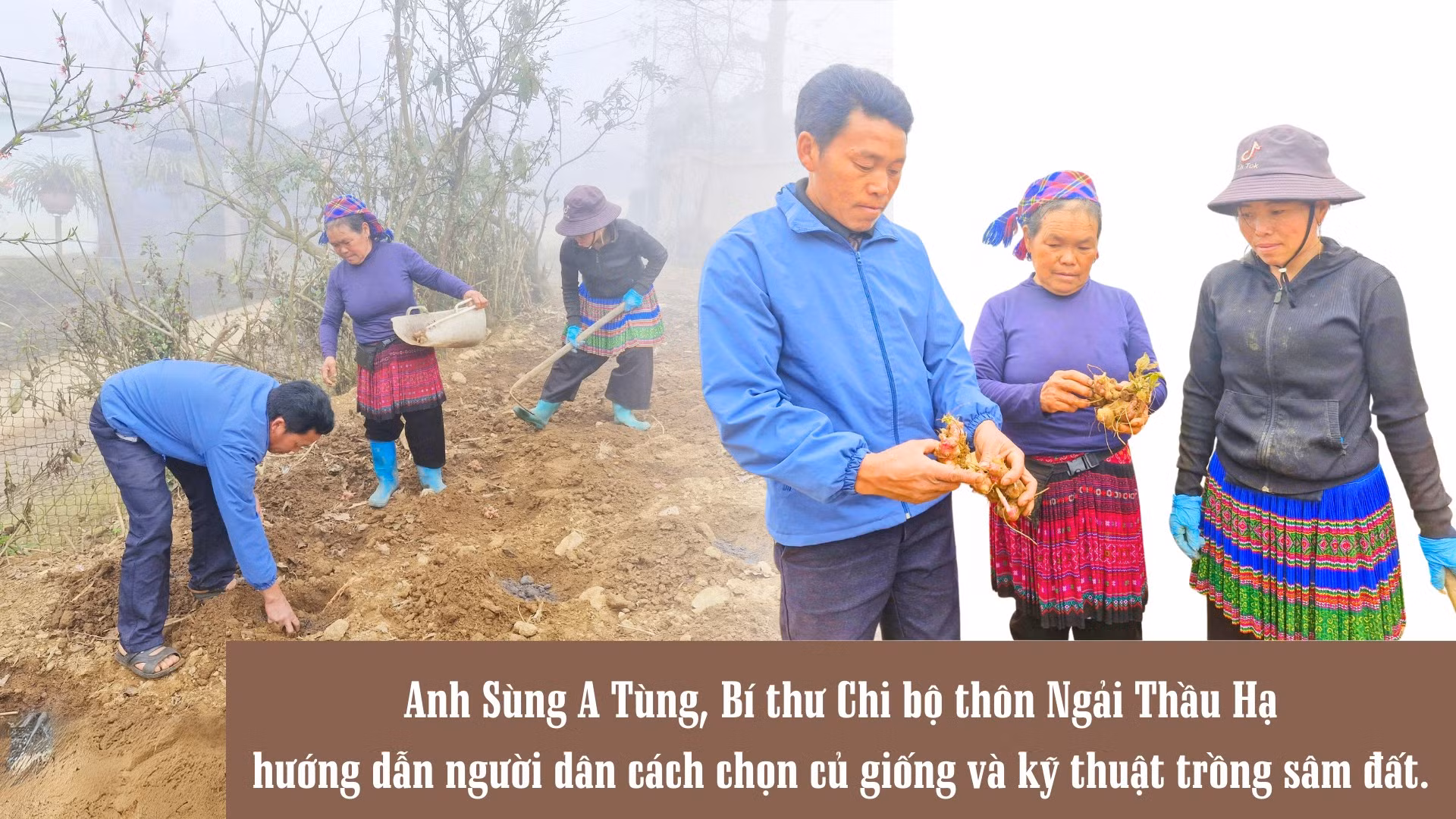 mua-trong-sam-dat-tren-mui-da-ma-cha-va-4.png