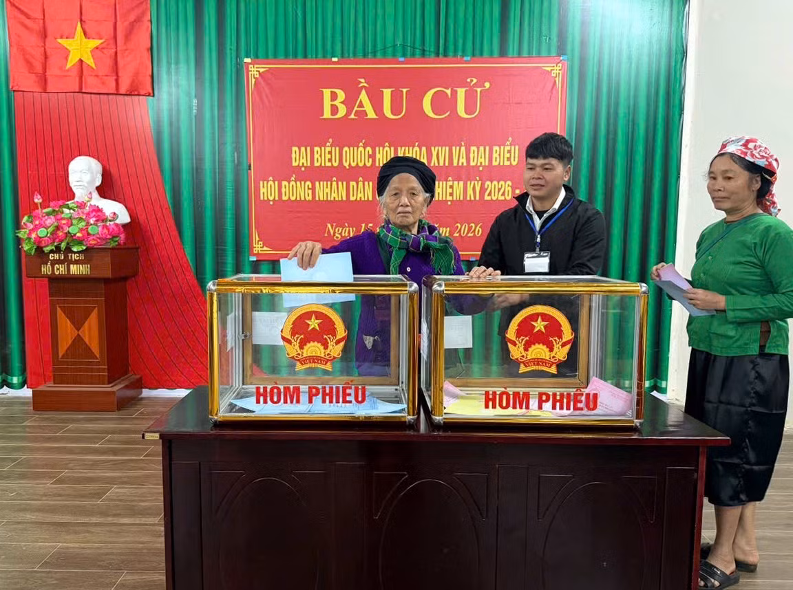 bc11.jpg
