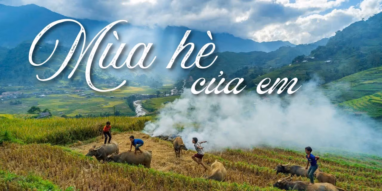 Mùa hè của em