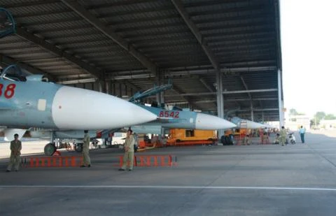 Viet Nam tu sua chua may tinh tren Su-30