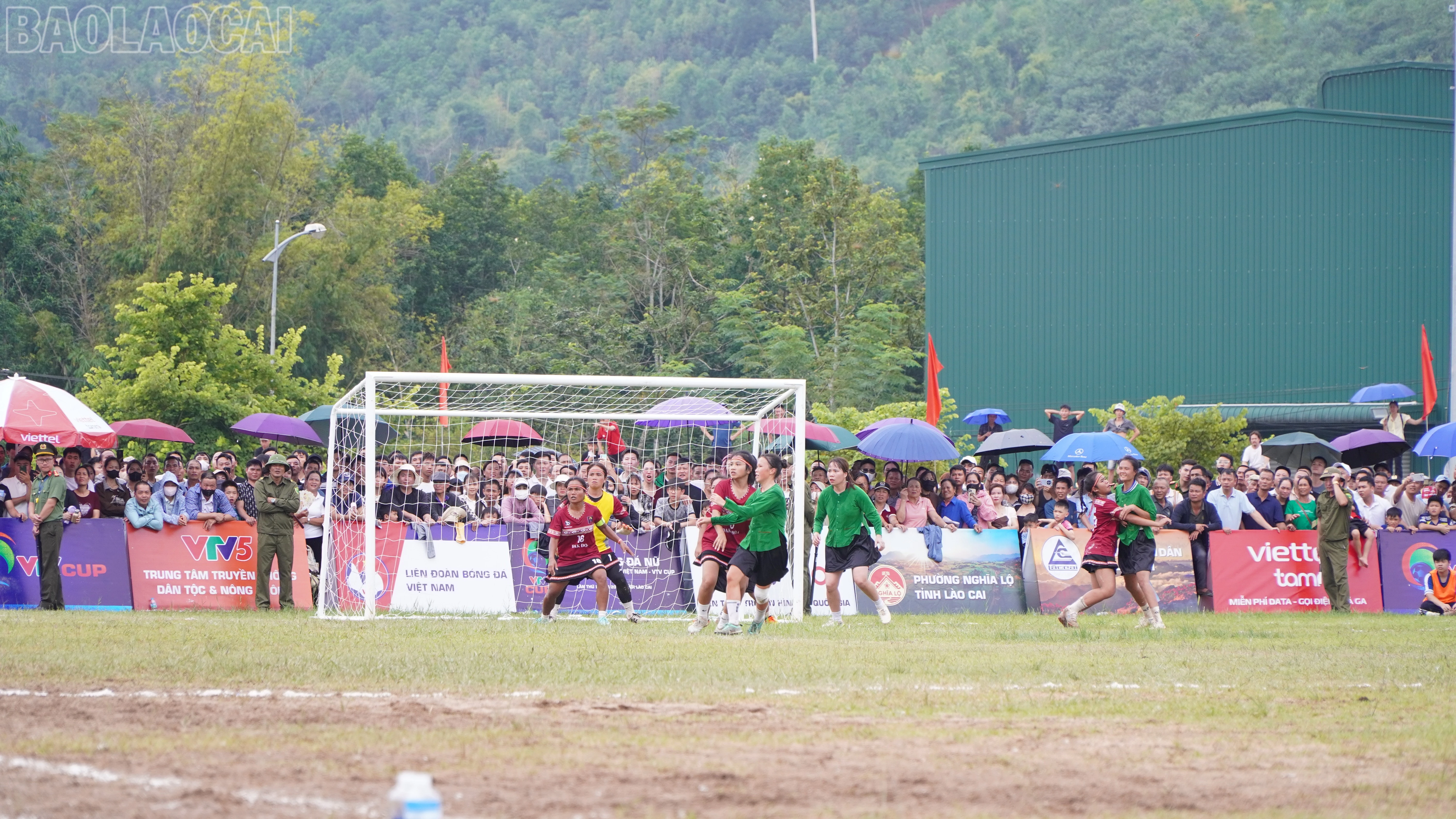 baolaocai-tl_beo03730.jpg