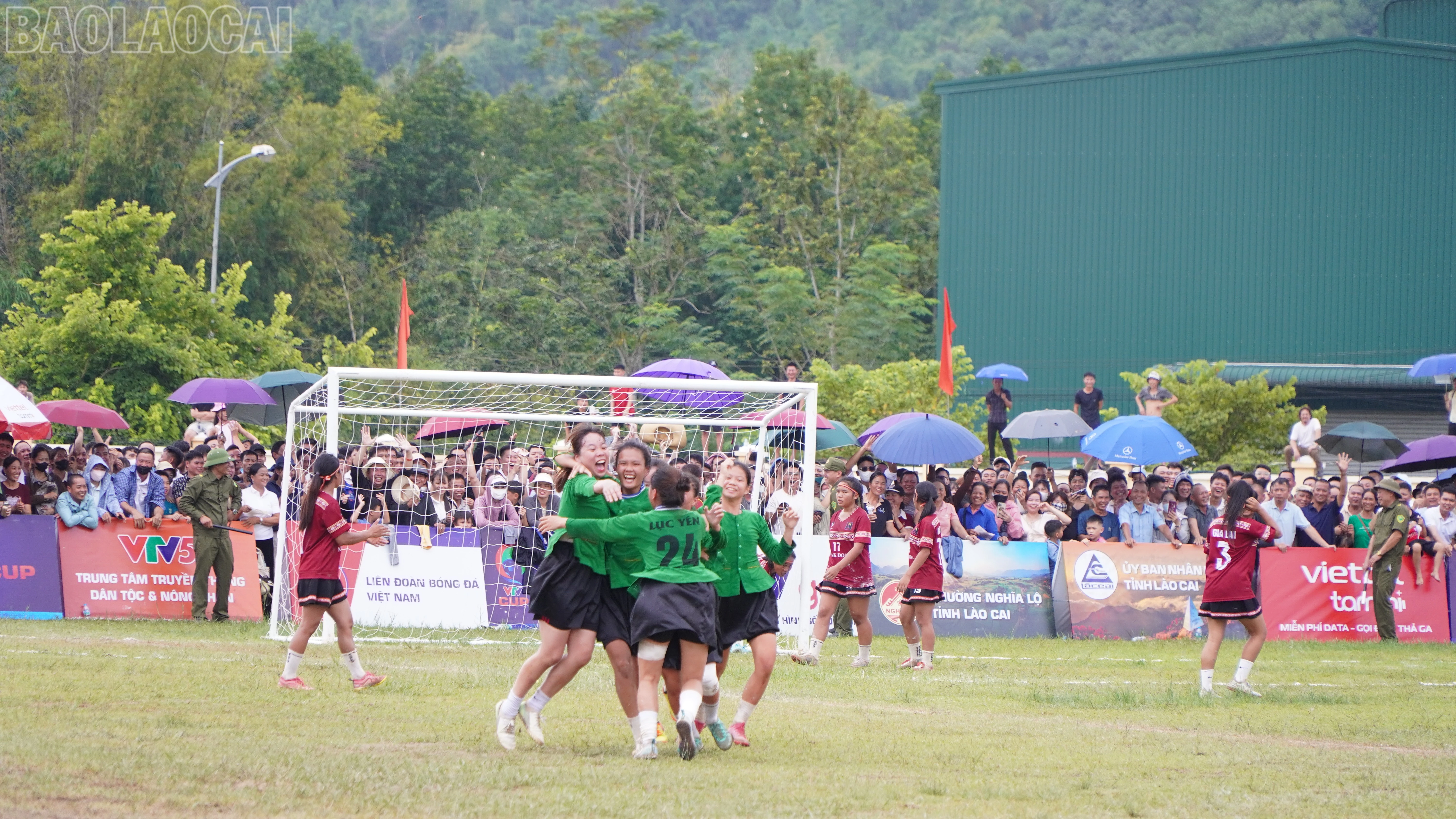 baolaocai-tl_beo03733.jpg