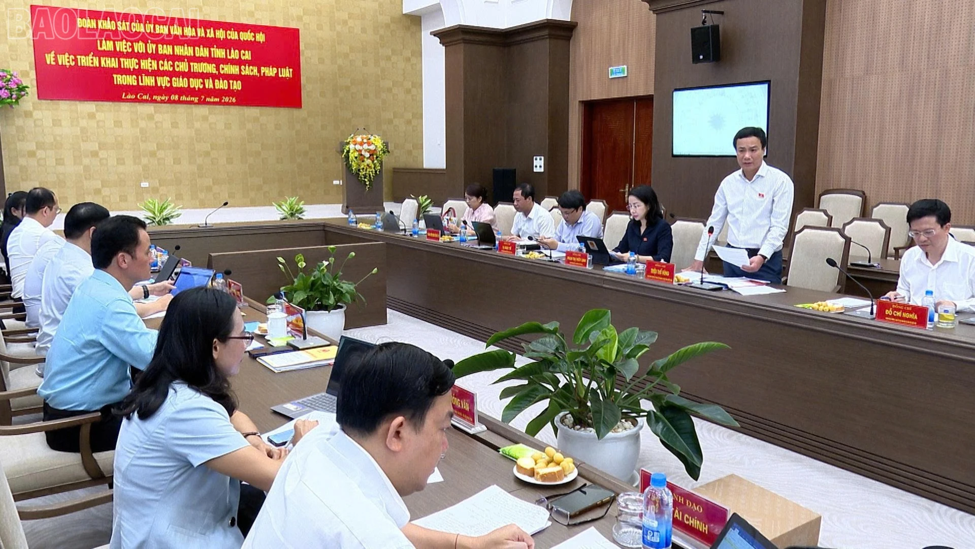 baolaocai-tl_z8019435553132-2844156c0687a3f247e2ffe5da72aaa4-6911.jpg