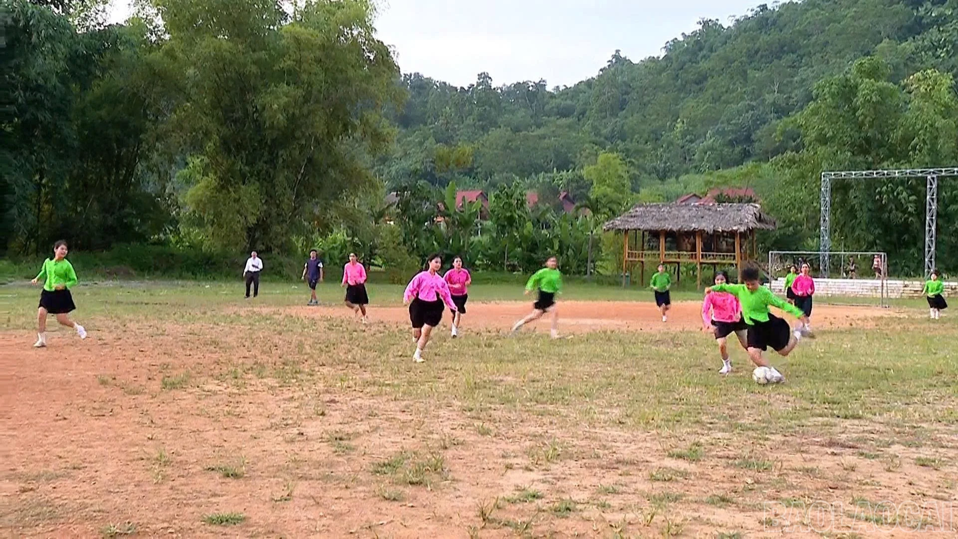 baolaocai-br_1786626788371-5358715889122266109-5358715889122266109-b5844d3a010c22178f1257f9fcef5609.jpg