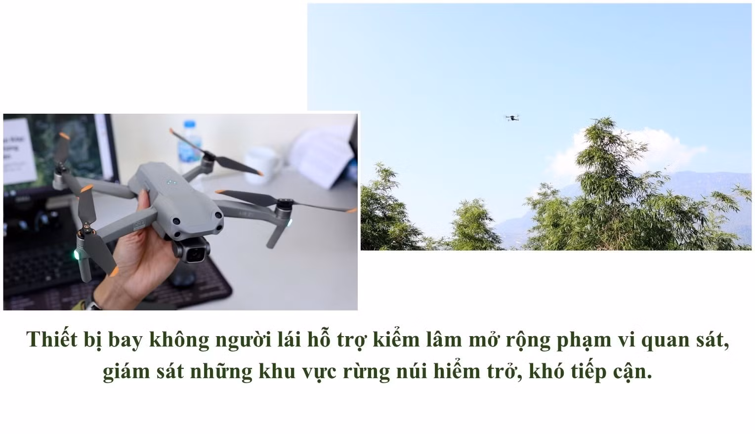 490.jpg