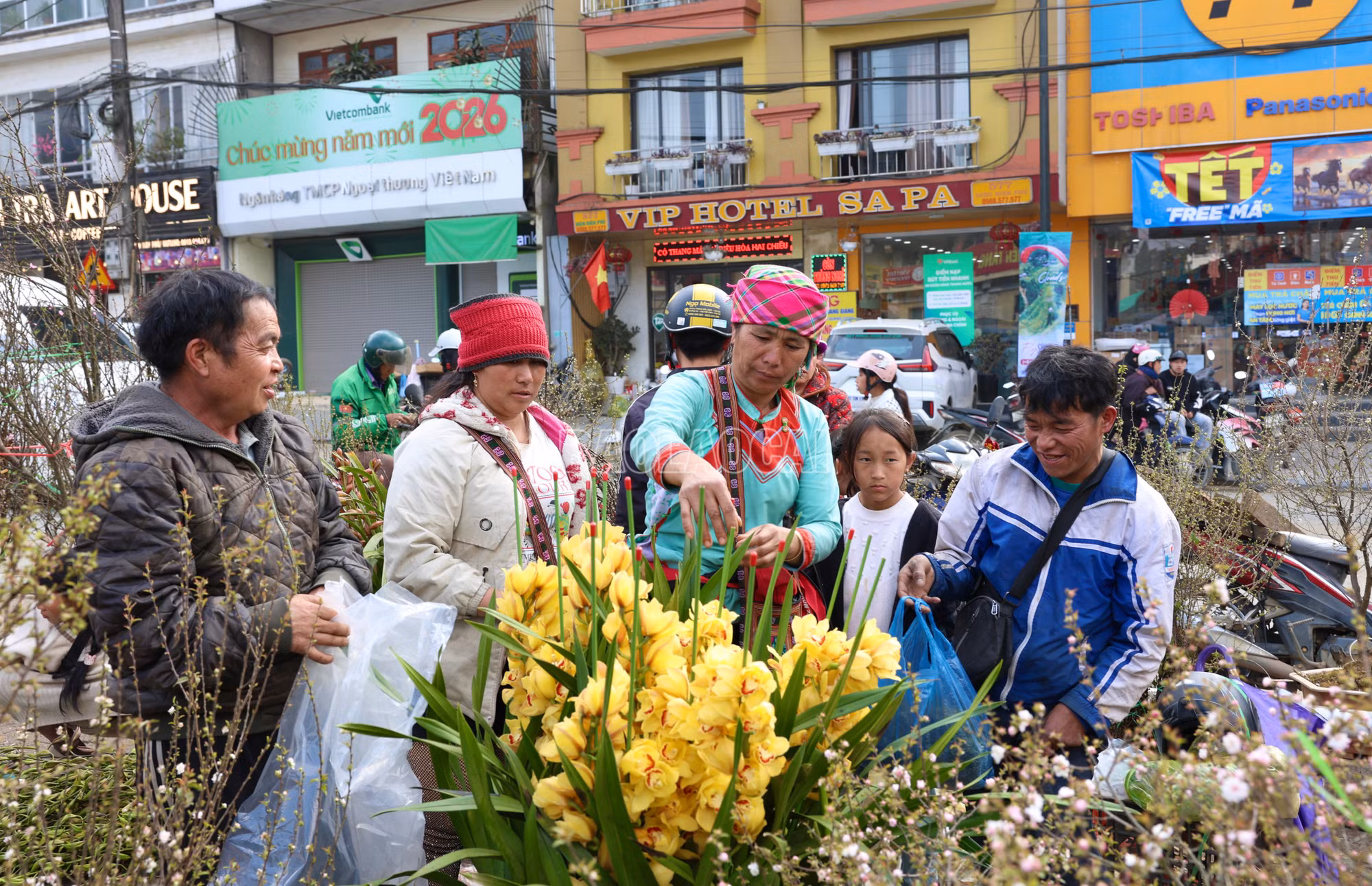 baolaocai-c_900a2617.jpg