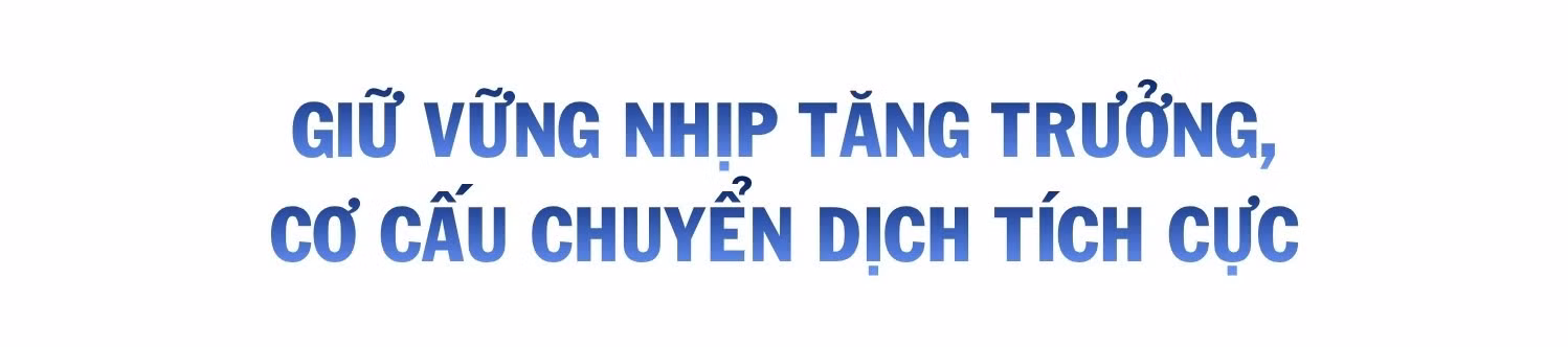 487.jpg