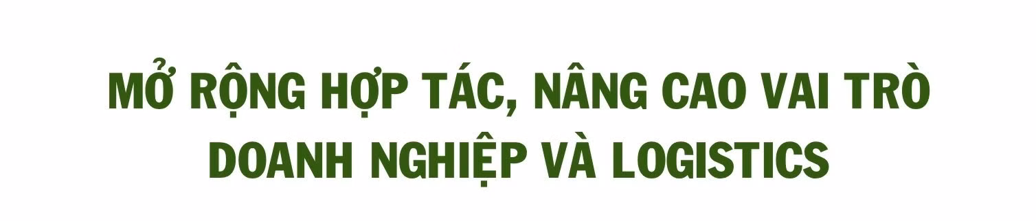 487-sao-chep.jpg