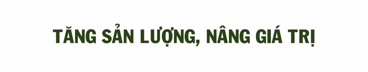 472.jpg