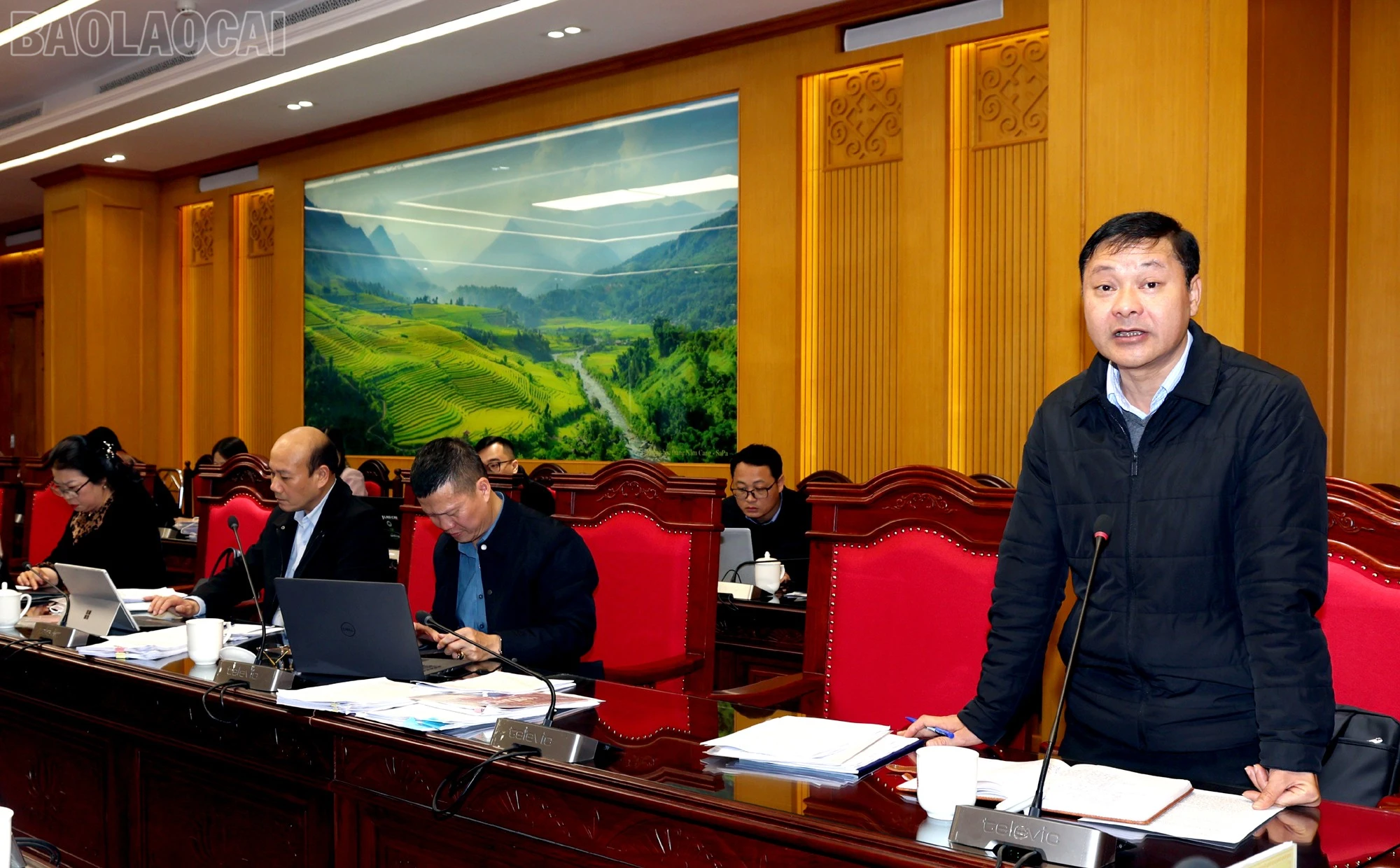 baolaocai-tl_bc1.jpg