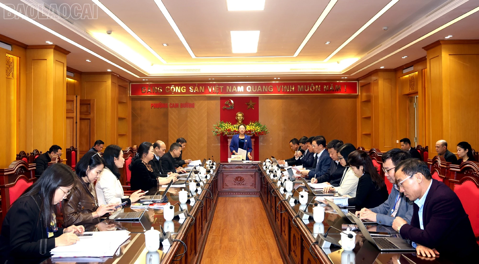 baolaocai-tl_bc9.jpg