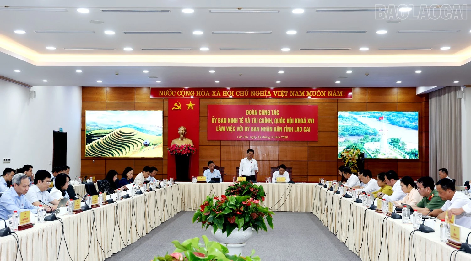 baolaocai-tr_1l8a8729c.jpg