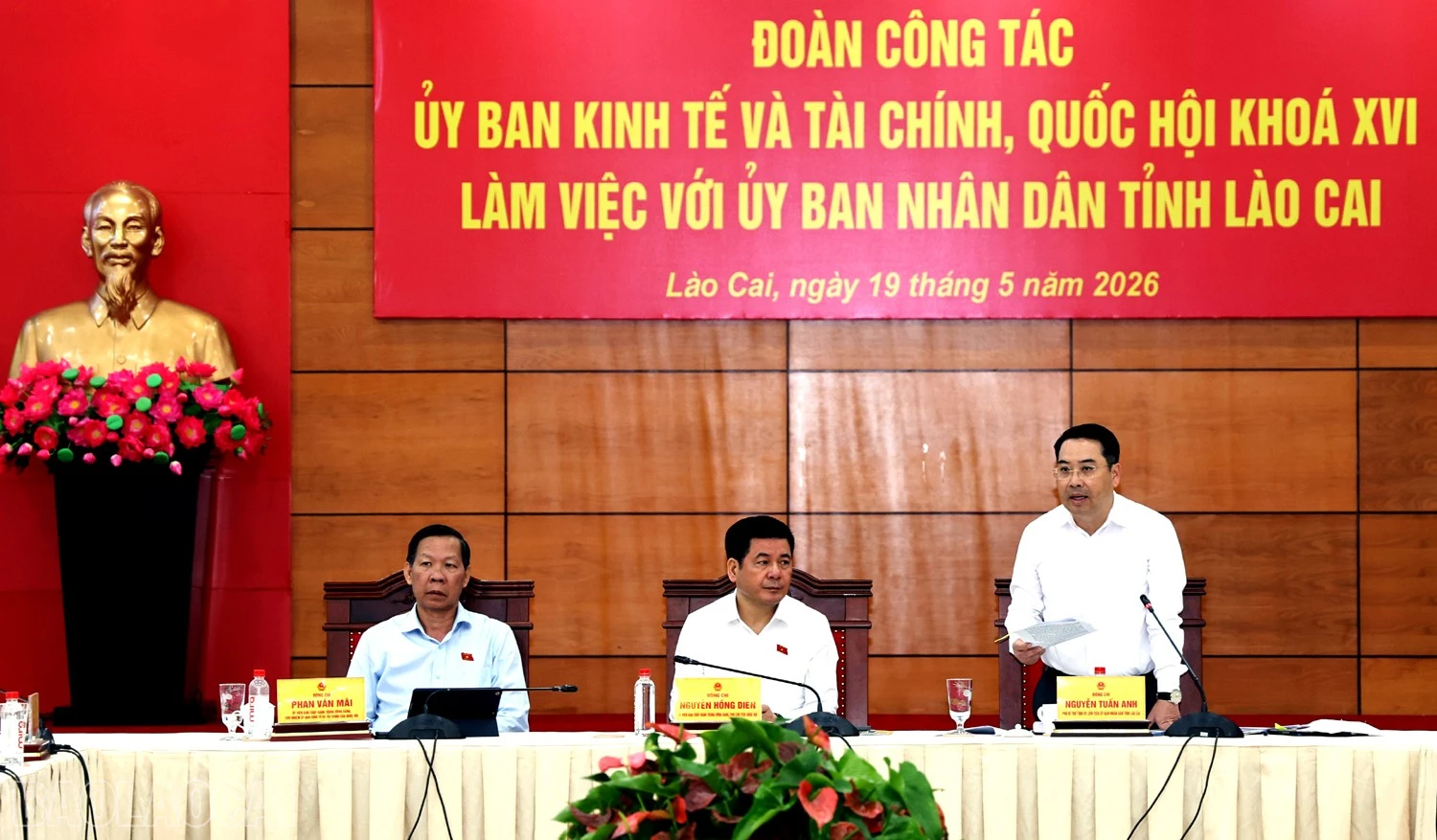 baolaocai-bl_1l8a8829c.jpg
