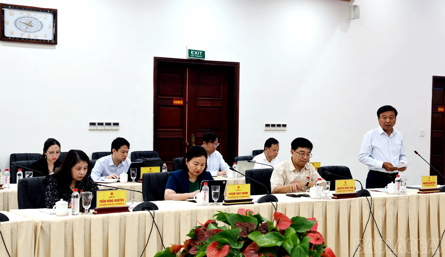 baolaocai-br_1l8a8814c.jpg