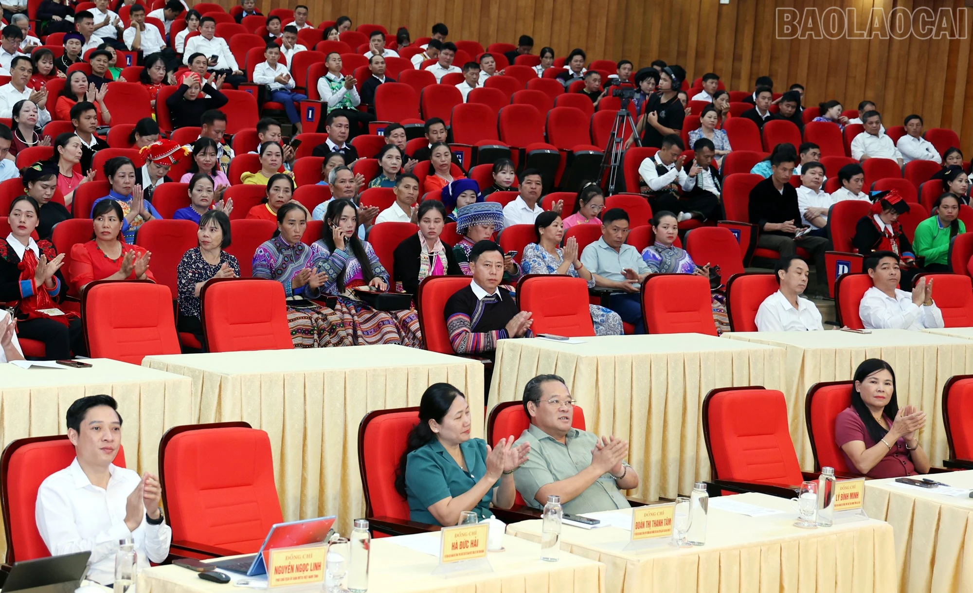 baolaocai-tr_mt11.jpg